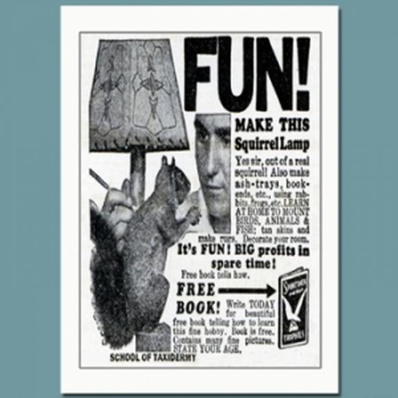 Squirrel Lamp